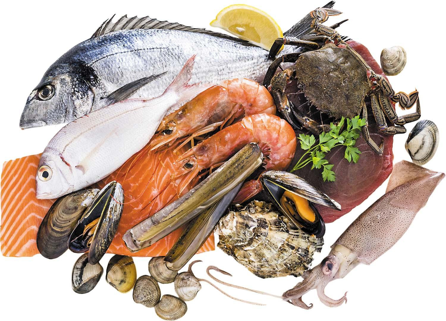 p1-seafoodcollage-hh0125-gi1185677996